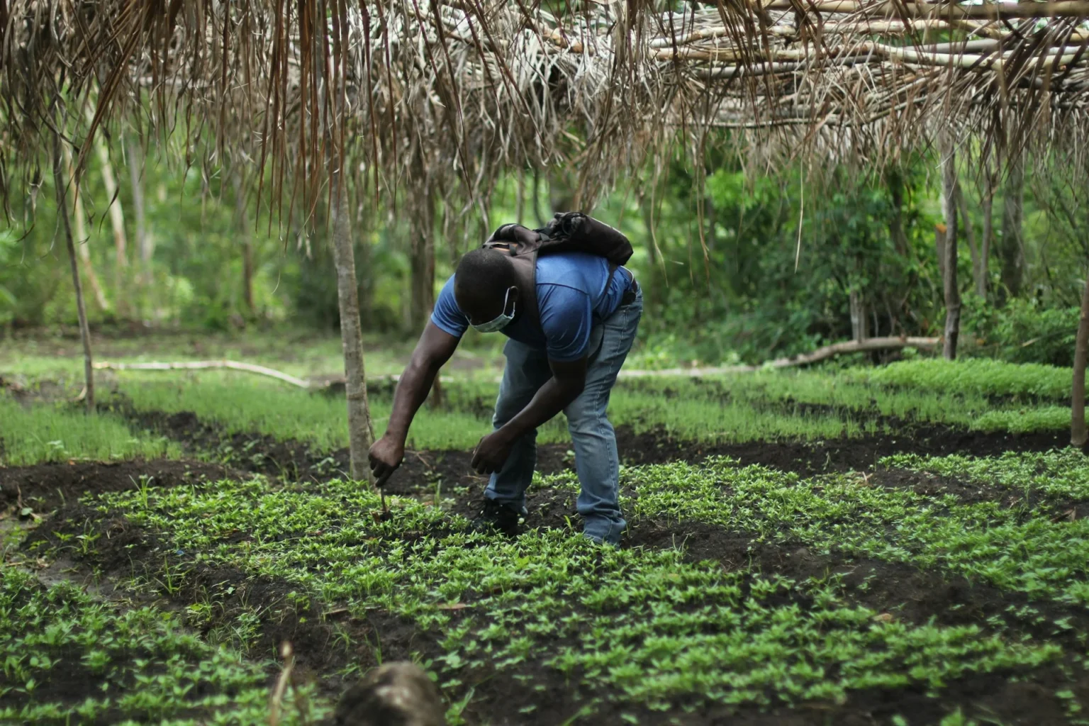 Public-Private Partnership Aims to Boost Ethiopian Farmers’ Yields and Improve Soil Health